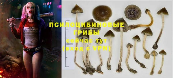 наркотики Алексеевка