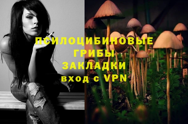 круглые Алексин