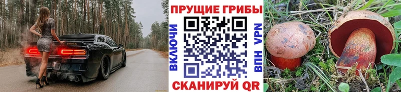 mega вход  купить наркотики цена  Хвалынск  Псилоцибиновые грибы MAGIC MUSHROOMS 